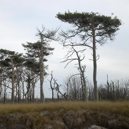 Haus Strandkoje Hébergement de vacances Wustrow (Fischland)
